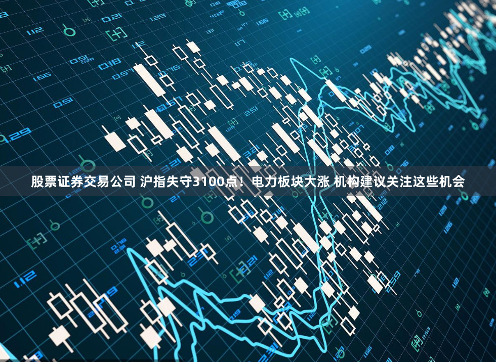 股票证券交易公司 沪指失守3100点！电力板块大涨 机构建议关注这些机会