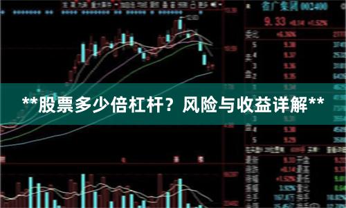 **股票多少倍杠杆？风险与收益详解**